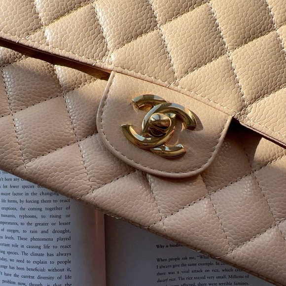 Chanel Classic Medium Double Flap Beige Bag - Picture 2 of 8